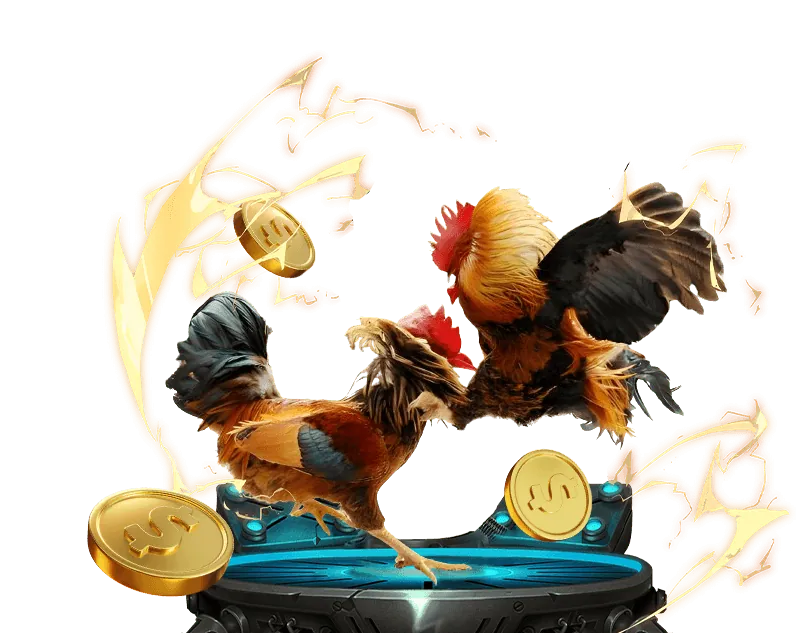 Hình ảnh chiến lược đặt cược, phân bổ tiền cược